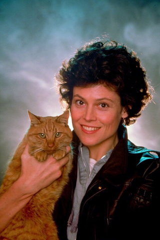Illustration for article titled What Is Jones the Cat Thinking in These Incredible Aliens Promo Photos?